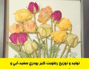 توزیع سیلیکاژل پودری مخصوص تهیه گل خشک و تزئینات رزینی
