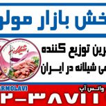 بزرگترین توزیع کننده کنسرو تن ماهی شیلانه در ایران