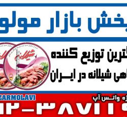 بزرگترین توزیع کننده کنسرو تن ماهی شیلانه در ایران