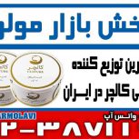 بزرگترین توزیع کننده کنسرو تن ماهی کالچر در ایران