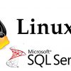 لایسنس اس کیو ال سرور – لایسنس اورجینال SQL Server