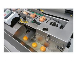 خط فرآوری تخم مرغ ، سیستم شستشو تخم مرغ ، جدا کننده زرده و سفیده تخم مرغ ، بسته بندی تخم مرغ ، فرچه