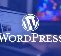 آموزش طراحی سایت با ورد پرس (WordPress)
