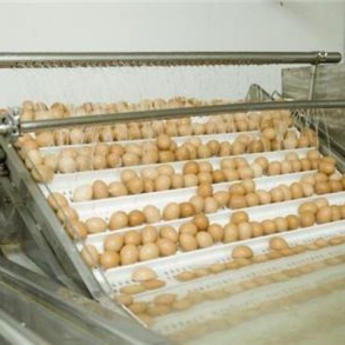 خط فرآوری تخم مرغ ، سیستم شستشو تخم مرغ ، جدا کننده زرده و سفیده تخم مرغ ، بسته بندی تخم مرغ ، فرچه