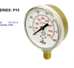 Pressure Gauge Series P15
