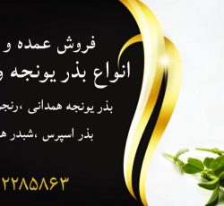 فروش بذر یونجه و شبدر ایرانی