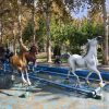 مجسمه اسب فایبرگلاس