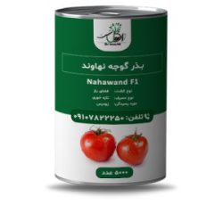 فروش بذر گوجه فرنگی نهاوند