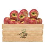 فروش نهال سیب قرمز لبنانی