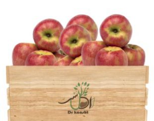 فروش نهال سیب قرمز لبنانی