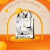 چایساز اتوماتیک 2قوری صنعتی سلطان