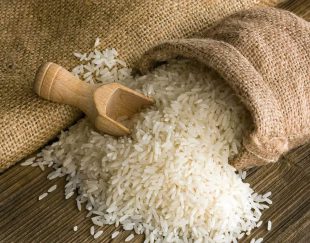 فروش برنج ایرانی بدون واسطه از کشاورز با بهترین قیمت و کیفیت