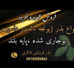 فروش بذر یونجه در کرمانشاه